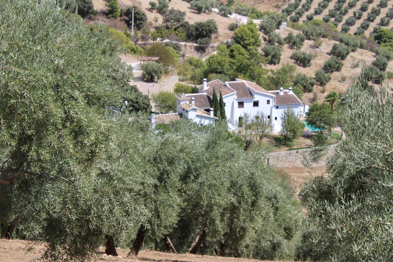 Penzion Cortijo La Fe Montefrío Exteriér fotografie