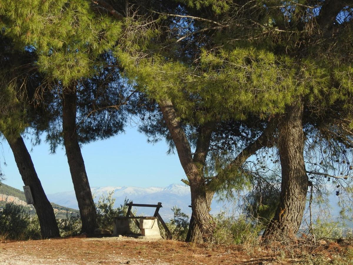Penzion Cortijo La Fe Montefrío Exteriér fotografie