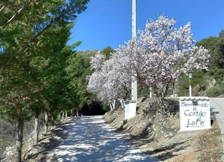 Penzion Cortijo La Fe Montefrío Exteriér fotografie